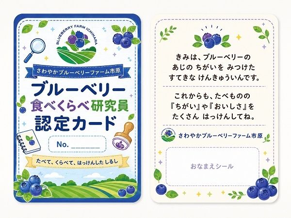 【千葉県市原市】珍しい品種の食べくらべができる「さわやかブルーベリーファーム市原」で収穫体験開催