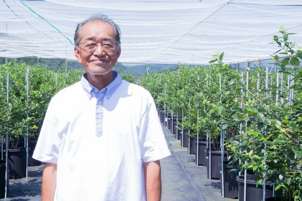 【千葉県市原市】珍しい品種の食べくらべができる「さわやかブルーベリーファーム市原」で収穫体験開催