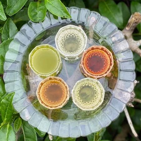 【神奈川県横浜市】「YOKOHAMA TEA FES お茶とお菓子の時間《新茶と和菓子》」が開催！どら焼き特集も