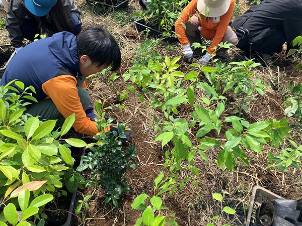 【神奈川県横須賀市】宅配水のクリクラが「湘南国際村めぐりの森」で365本の植樹を実施。森の再生を願う