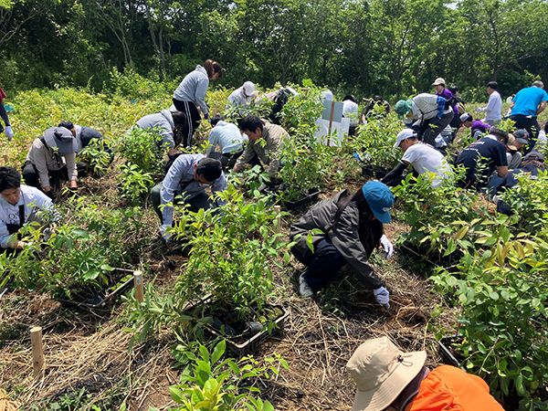 【神奈川県横須賀市】宅配水のクリクラが「湘南国際村めぐりの森」で365本の植樹を実施。森の再生を願う