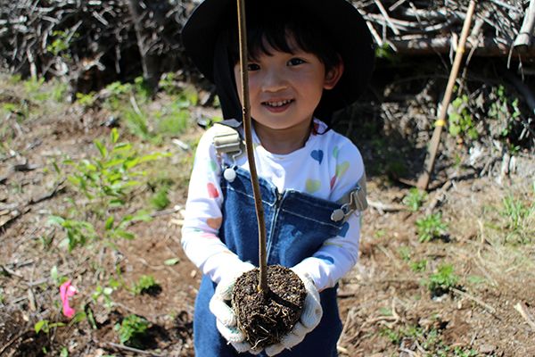 【神奈川県横須賀市】宅配水のクリクラが「湘南国際村めぐりの森」で365本の植樹を実施。森の再生を願う