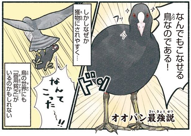 なんでもこなせる鳥なのである！ （C）piro piro piccolo／KADOKAWA
