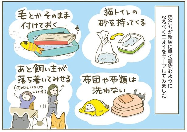早く新居に馴染むように （C）卵山玉子／KADOKAWA