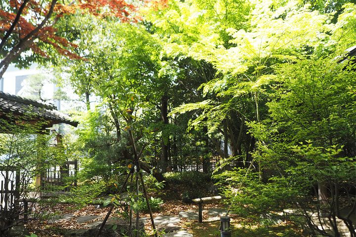 新茶の季節に訪れたい♪ 美しい日本庭園を見渡せる、掛川「茶の蔵 かねも」の茶室でゆるり上質なお茶体験