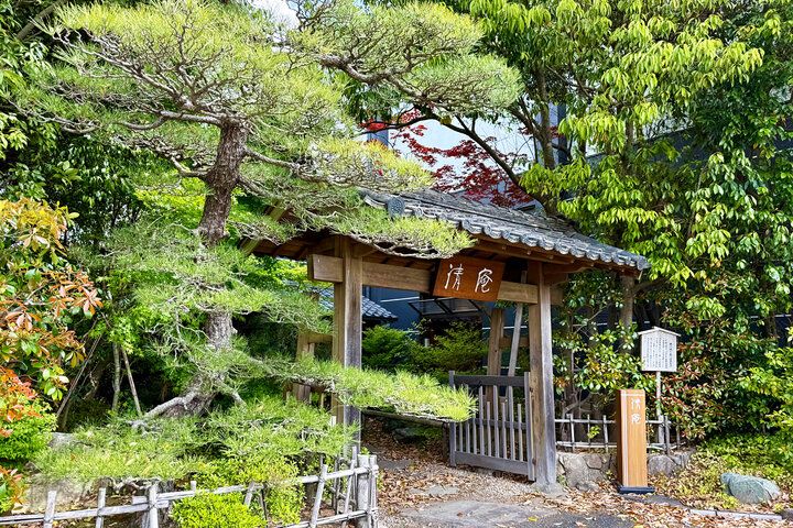 新茶の季節に訪れたい♪ 美しい日本庭園を見渡せる、掛川「茶の蔵 かねも」の茶室でゆるり上質なお茶体験