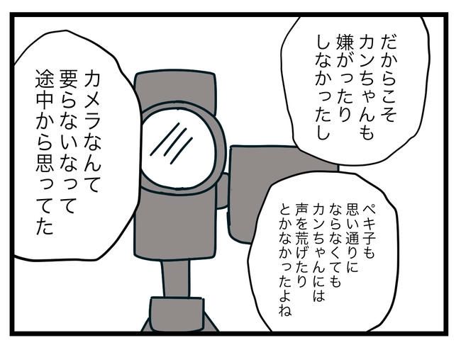 完璧な母親／ツムママ