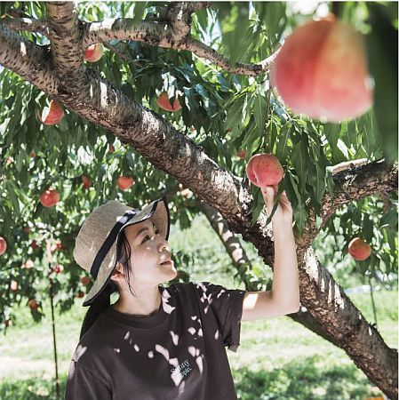 山梨県産“廃棄ロス桃”使用。リアルな香りのFERNANDA「モモ コレクション」今年も発売