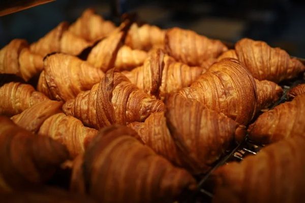 【東京都江東区】ベーカリーショップ「PARKSTAND Coffee ＆ Bakery」オープン！ワンコOKのテラス席も