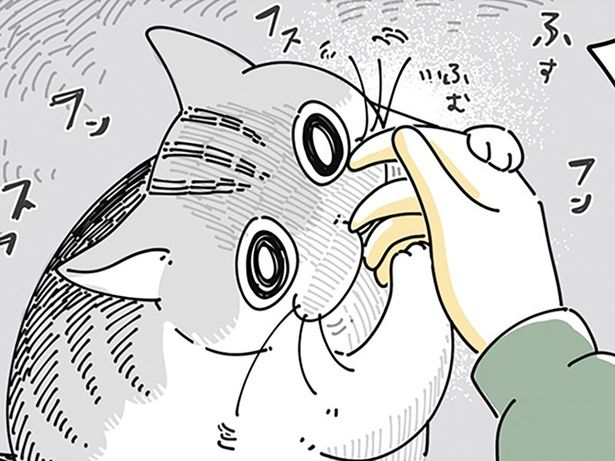 「何を食べてきたんですか？」 （C）キュルZ／KADOKAWA