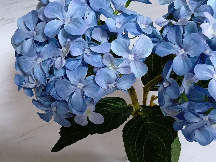 初夏を楽しむ！100均の虹色紫陽花とお気に入りの紫陽花グッズ