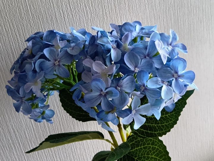 今回使用したのは、爽やかなブルー系の紫陽花の造花です。