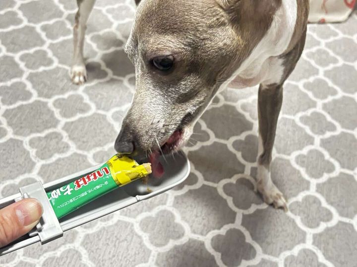 しぼってスプーン 使用例