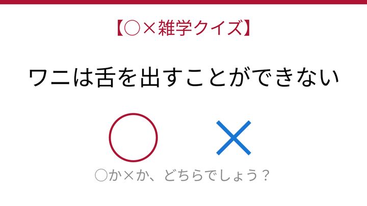 【○×雑学クイズ】これ本当？ワニの意外な弱点の問題画像