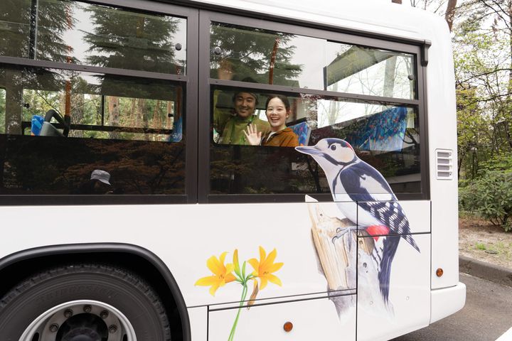 野鳥が描かれているバスに乗って移動