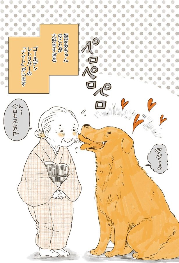 ゴールデンレトリバーの「ナイト」がいます （C）佐倉イサミ／KADOKAWA