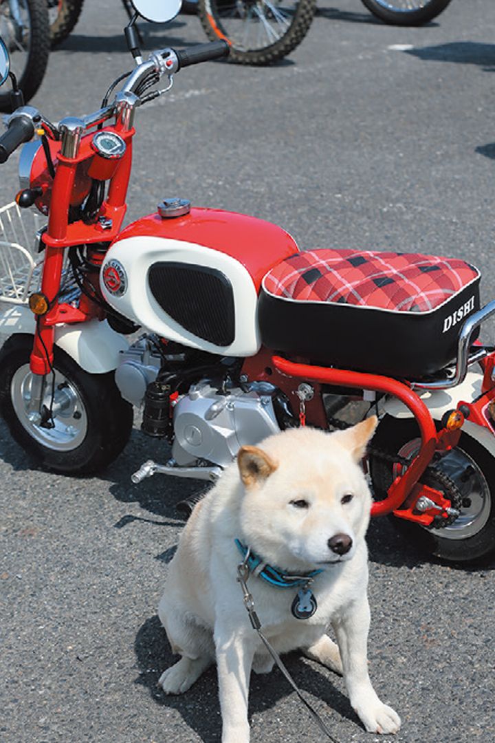 MINI Q みんなのインプレッション！