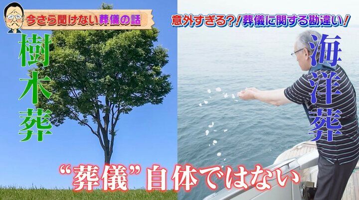 【写真・画像】梅沢富美男、自身が亡くなった後の“理想の見送られ方”語る「気に入ってる場所に…」 2枚目