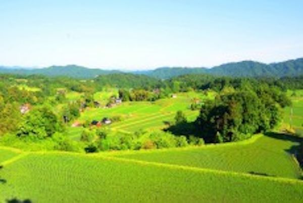 【東京都品川区】SASSEN全国大会の団体戦褒賞品に、西日本トップクラスのブランド米「仁多米」が決定