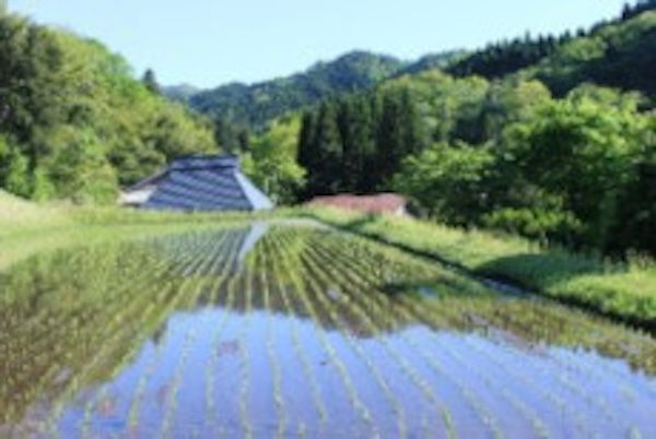 【東京都品川区】SASSEN全国大会の団体戦褒賞品に、西日本トップクラスのブランド米「仁多米」が決定