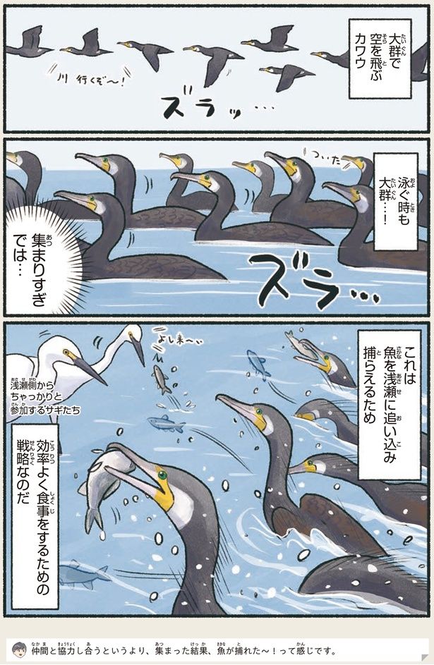 集まりすぎでは… （C）piro piro piccolo／KADOKAWA