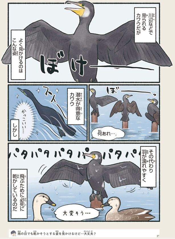 飛ぶために必死に乾かしているのだ （C）piro piro piccolo／KADOKAWA