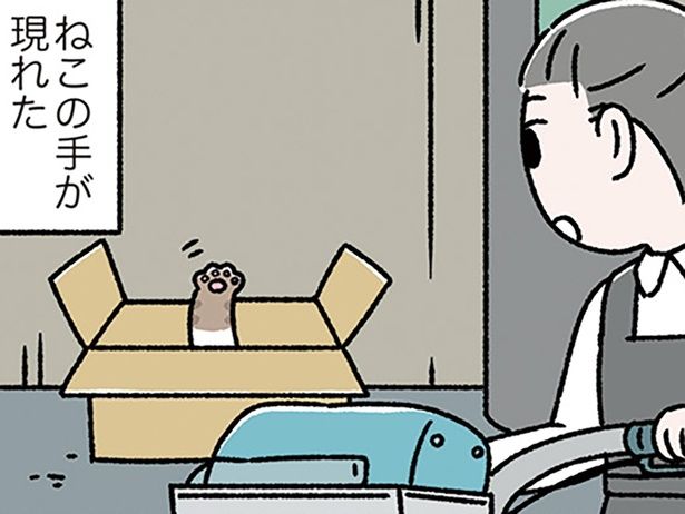 ねこの手が現れた （C）ぱんだにあ／KADOKAWA