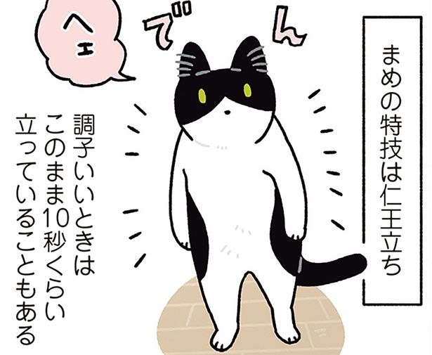 まめの特技は仁王立ち （C）AKR／KADOKAWA