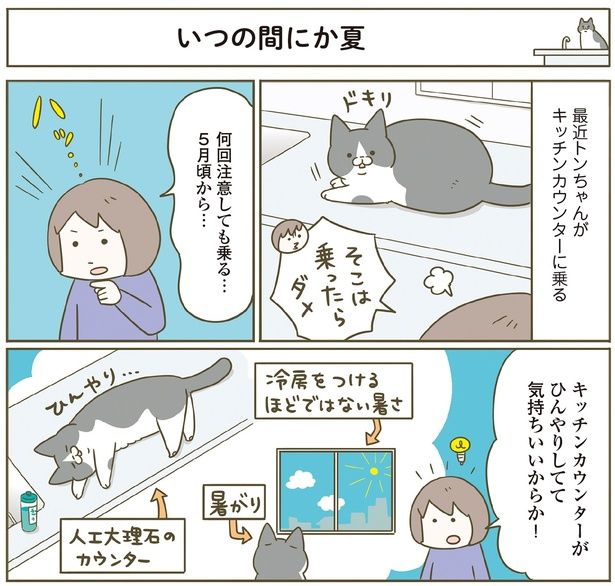 キッチンカウンターはひんやりしてて気持ちいい （C）卵山玉子／KADOKAWA