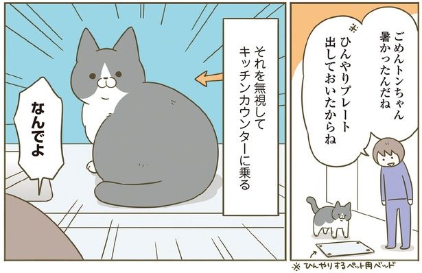 ひんやりプレートを出したのに （C）卵山玉子／KADOKAWA