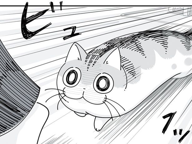足に！ （C）キュルZ／KADOKAWA