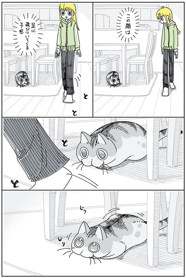 この顔は （C）キュルZ／KADOKAWA
