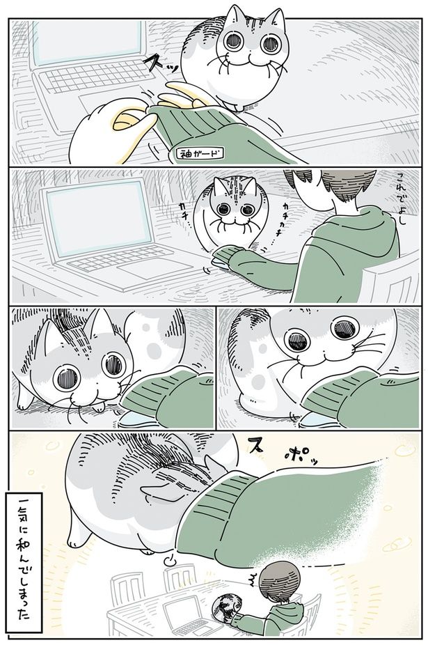 一気に和んでしまった （C）キュルZ／KADOKAWA