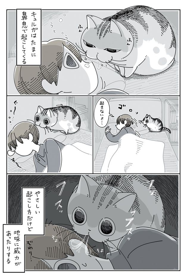 地味に威力があったりする （C）キュルZ／KADOKAWA