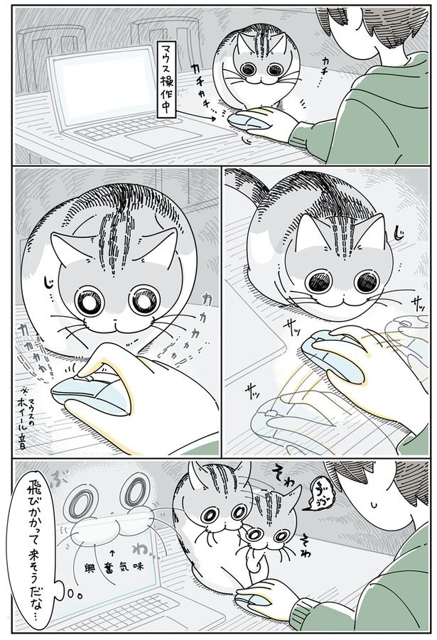 マウス操作が気になるネコ （C）キュルZ／KADOKAWA