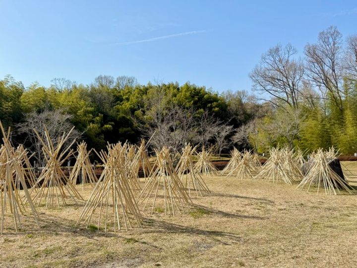 奈良・生駒市高山／高山竹林園08