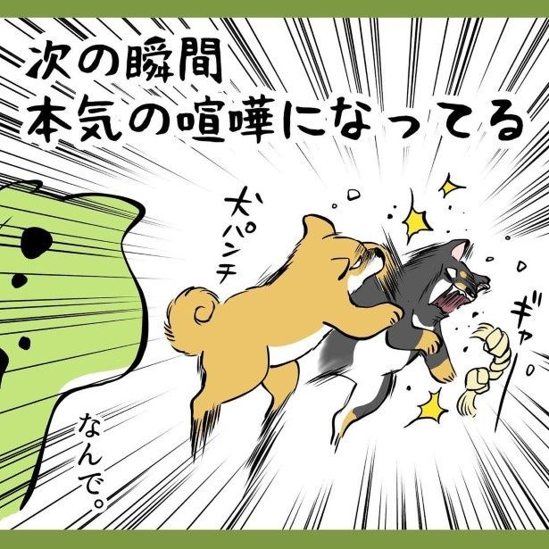何がきっかけなのか大人には理解不能！バトル開始！ ユウコトリトリ(@yuko_toritori)