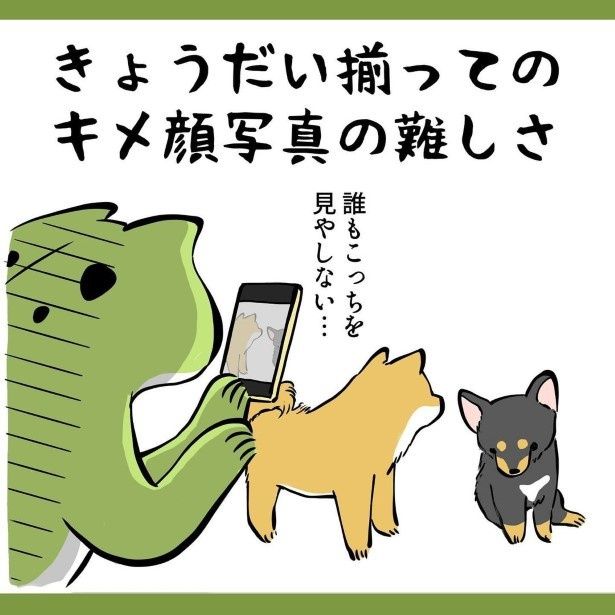 きょうだいそろってのキメ顔なんて撮れた試しがない ユウコトリトリ(@yuko_toritori)