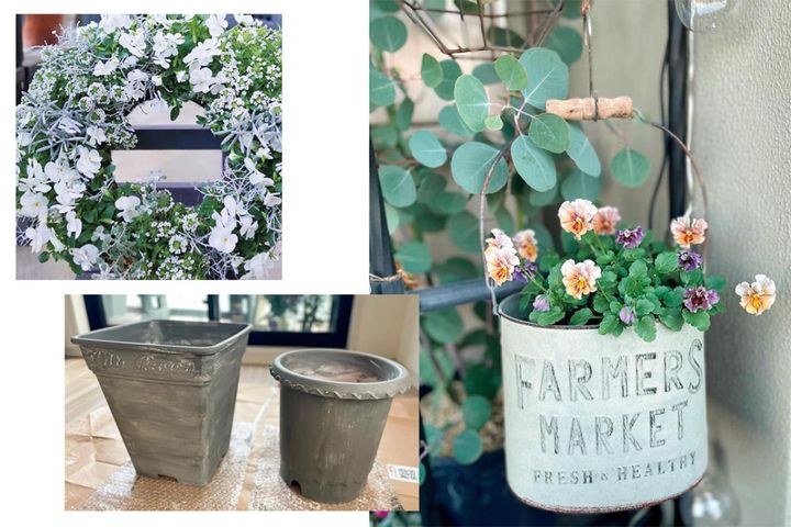 バラが終わったら何を植える？ 10㎡のベランダガーデンを彩る寄せ植えアイデア