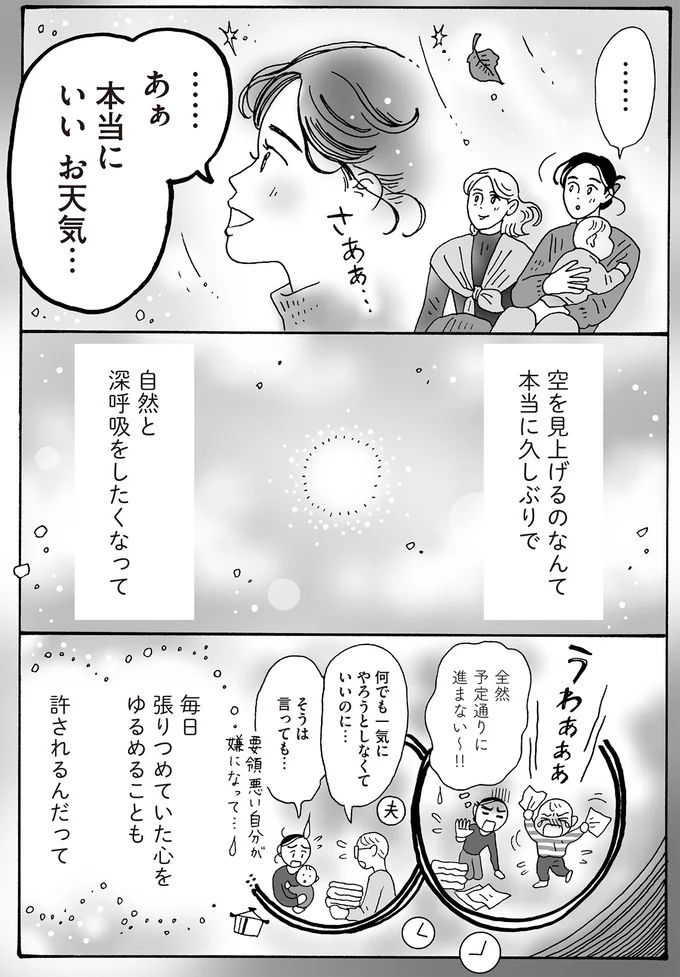 16381404.webp