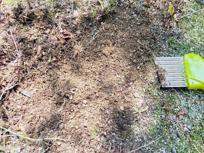 【セリア】調理アイテムではありません！厄介な作業がサクッと終わる神アイテム「梅雨の合間にやっておきたい」