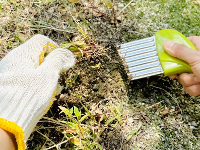【セリア】調理アイテムではありません！厄介な作業がサクッと終わる神アイテム「梅雨の合間にやっておきたい」