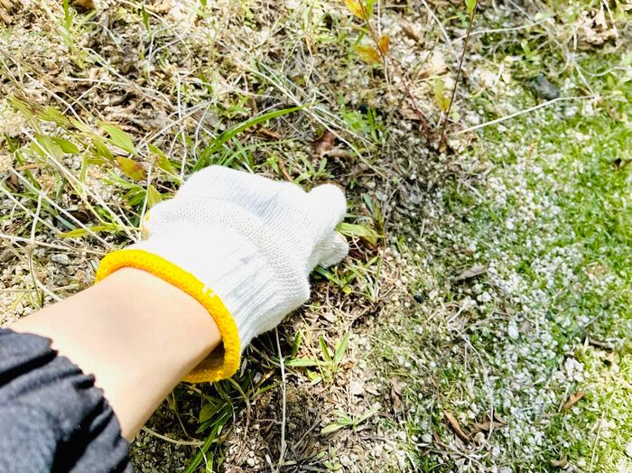 【セリア】調理アイテムではありません！厄介な作業がサクッと終わる神アイテム「梅雨の合間にやっておきたい」