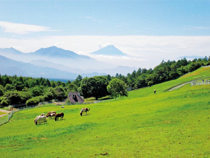 今年一番の転換期が到来♪【2026年夏～Summer～ イヴルルド遙華の12星座占い】最高の運気を掴む夏の過ごし方