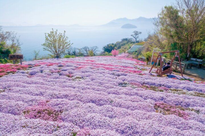 今年一番の転換期が到来♪【2026年夏～Summer～ イヴルルド遙華の12星座占い】最高の運気を掴む夏の過ごし方