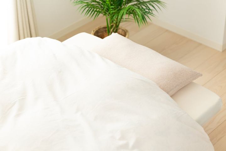 布団の有効なダニ対策とは？