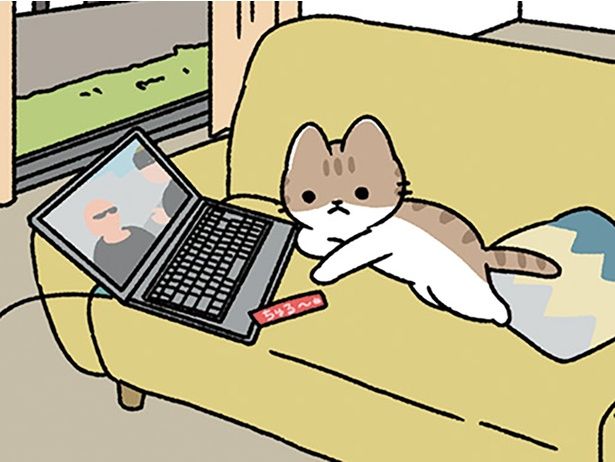 犬と猫、修正は違えど… （C）ぱんだにあ／KADOKAWA