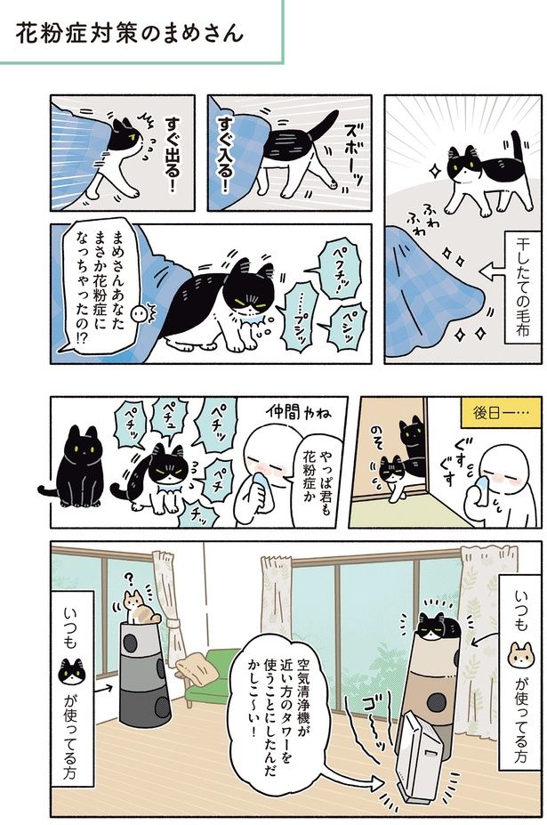 花粉症対策のまめさん （C）AKR／KADOKAWA