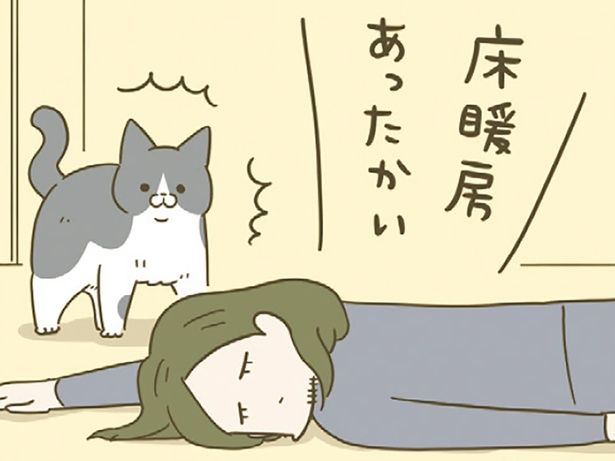 飼い主が寝転がっていると… （C）卵山玉子／KADOKAWA