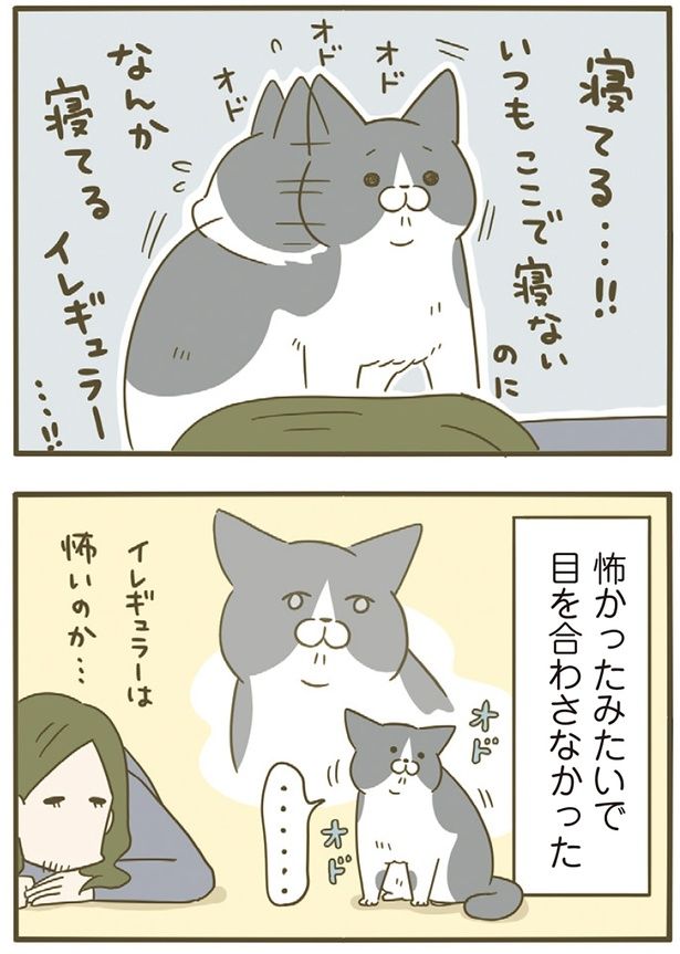 怖かったみたい （C）卵山玉子／KADOKAWA